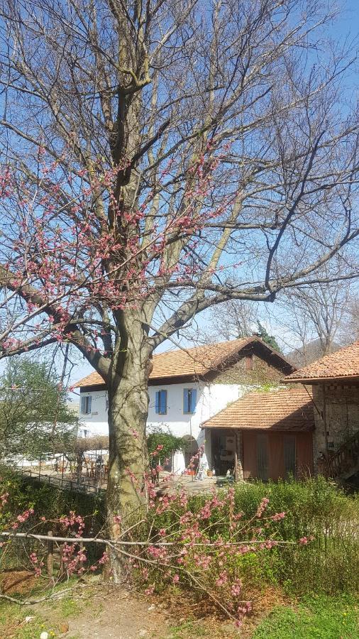 B&B Il Gatto Nero Castelveccana Zewnętrze zdjęcie